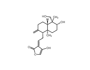 脱水穿心莲内酯图片