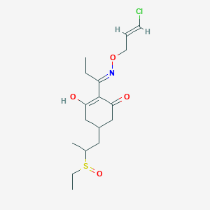 Clethodim SulfoxideͼƬ