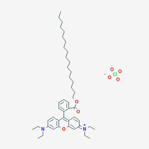 Rhodamine B octadecyl ester perchlorateͼƬ