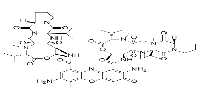 7-Aminoactinomycin D(7-AAD)图片