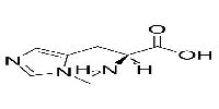 3-׻-L-鰱ͼƬ