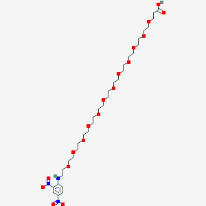 DNP-PEG6-acidͼƬ