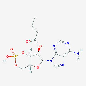 O2'-Monobutyryl Cyclic AMPͼƬ