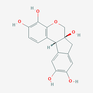 HematoxylinͼƬ