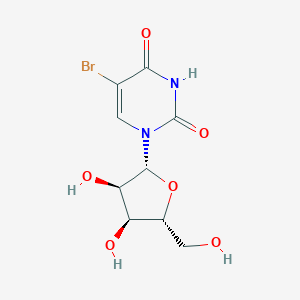 5-ͼƬ