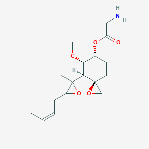 TNP-470 analogͼƬ