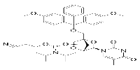 DMTr-LNA-5MeU-3-CED-phosphoramiditeͼƬ