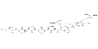 p5 Ligand for Dnak and DnaJͼƬ