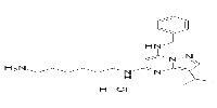 BS-181 hydrochlorideͼƬ