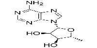 5'-Deoxyadenosine图片