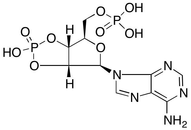 Adenosine Cyclic 2',3'-Phosphate 5'-PhosphateͼƬ