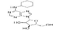 N6-CyclohexyladenosineͼƬ