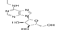 N-ethyl-adenosineͼƬ