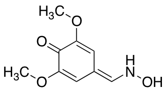 SyringaldoximeͼƬ