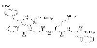 Protease-Activated Receptor-4ͼƬ