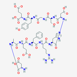 β-amyloid 1-11图片