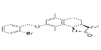 UbcH5c-IN-1ͼƬ