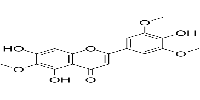 6-MethoxytricinͼƬ