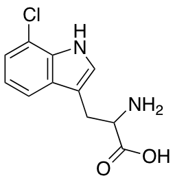 7--DL-ɫͼƬ