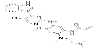 Mutant EGFR inhibitorͼƬ