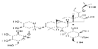 Astragaloside VIͼƬ