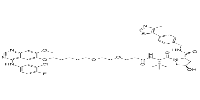 Gefitinib-based PROTAC 3ͼƬ