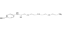 Phenol-amido-C1-PEG3-N3ͼƬ