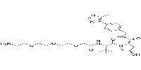 (S,R,S)-AHPC-PEG3-NH2ͼƬ