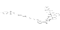 cIAP1 Ligand-Linker Conjugates 12ͼƬ