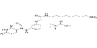 Thalidomide-O-amido-C8-NH2(TFA)ͼƬ