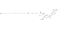 (S,R,S)-AHPC-(C3-PEG)2-C6-ClͼƬ