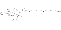 cIAP1 Ligand-Linker Conjugates 1ͼƬ