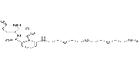 Pomalidomide-PEG3-C2-NH2图片