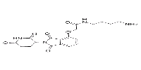 Thalidomide-O-amido-C4-NH2ͼƬ