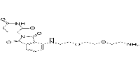 Thalidomide-NH-PEG2-C2-NH2ͼƬ