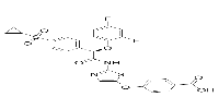 Glucokinase activator 1ͼƬ