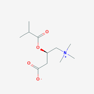 Isobutyryl-L-carnitineͼƬ