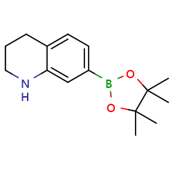 7-(4,4,5,5-tetramethyl-1,3,2-dioxaborolan-2-yl)-1,2,3,4-tetrahydroquinolineͼƬ