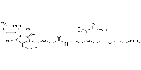 Thalidomide-O-amido-PEG2-C2-NH2(TFA)ͼƬ