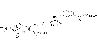 Ertapenem Monosodium(90%)ͼƬ