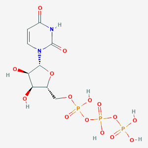 Uridine triphosphateͼƬ