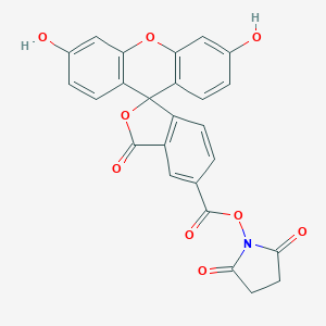 5-FAM,SE(5-Ȼӫǰ)ͼƬ