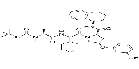 E3 ligase Ligand 14ͼƬ