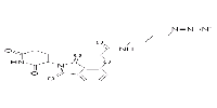 Thalidomide-O-amido-C4-N3ͼƬ