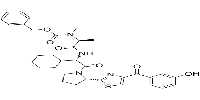 cIAP1 ligand 2ͼƬ