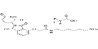 Thalidomide-O-amido-C6-NH2(TFA)ͼƬ