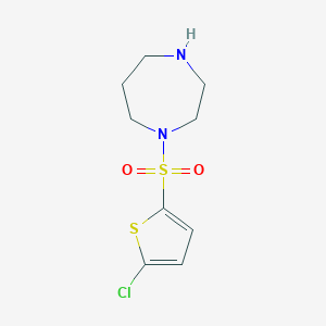 1-[(5-Chlorothiophen-2-yl)sulfonyl]-1,4-diazepaneͼƬ