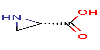 (2S)-aziridine-2-carboxylicacid图片