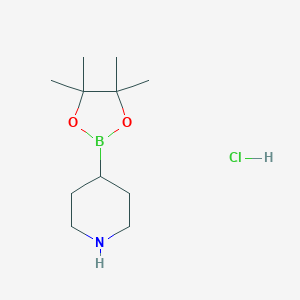 piperidine-4-boronicacidpinacolesterHClͼƬ