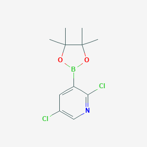 2,5-dichloro-3-(4,4,5,5-tetramethyl-1,3,2-dioxaborolan-2-yl)pyridineͼƬ